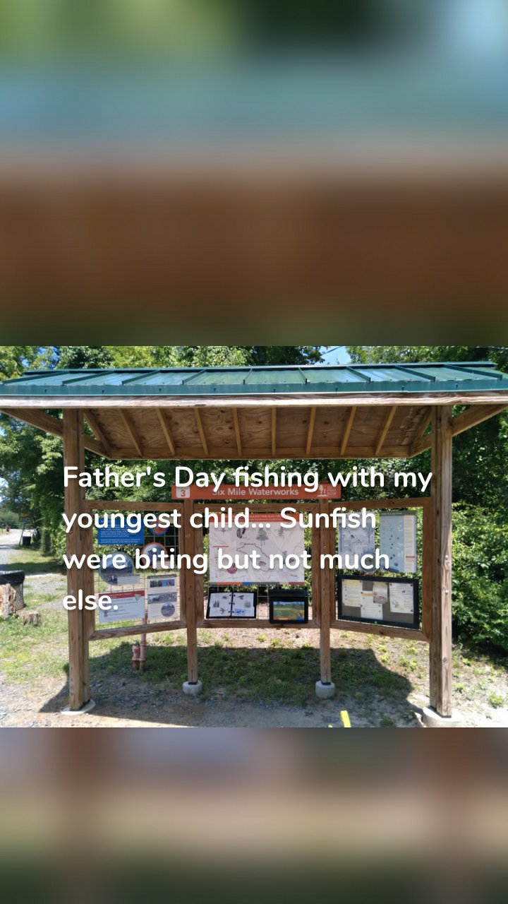 Father's Day fishing with my youngest child... Sunfish were biting but not much else.